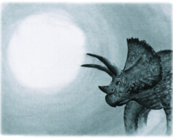 『太古の月』
紙本・額装・墨
312×405mm