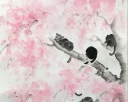 『黒猫桜』
紙本・軸装・墨・顔彩
582×232mm